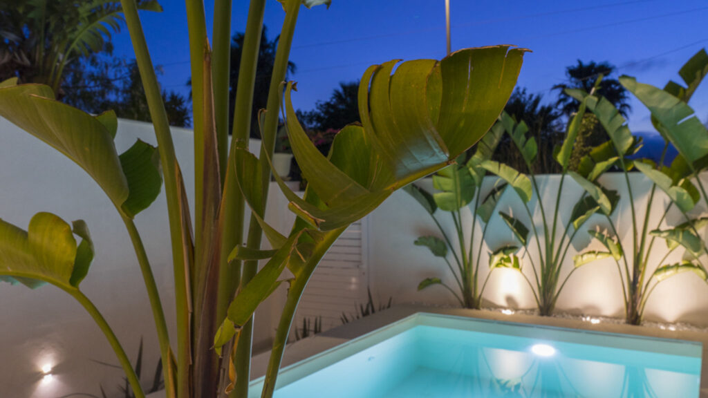 10_villa-delle-palme-con-piscina-privata