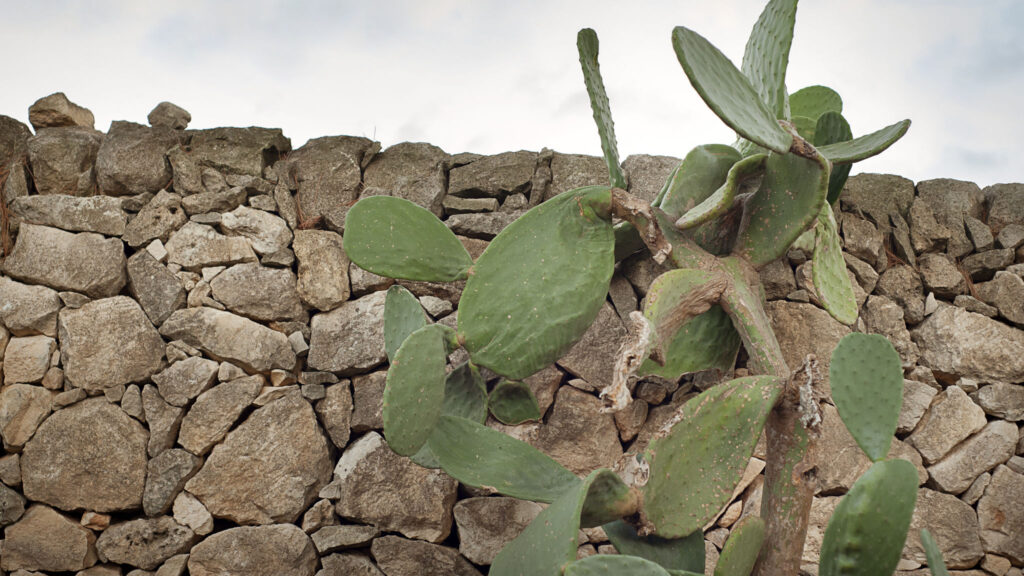 13_villa-malena-con-piscina-privata