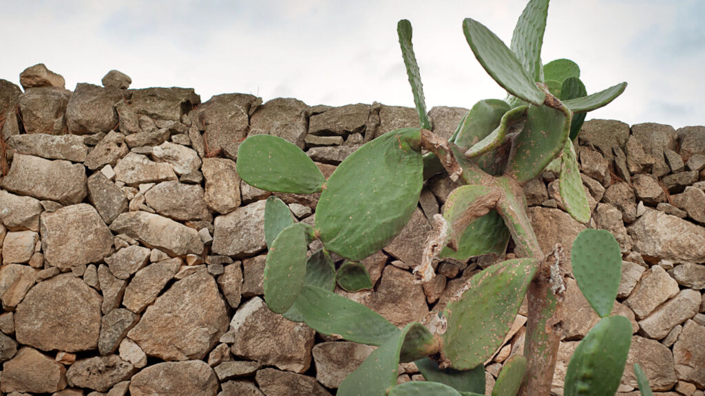 20_villa-malena-con-piscina-privata