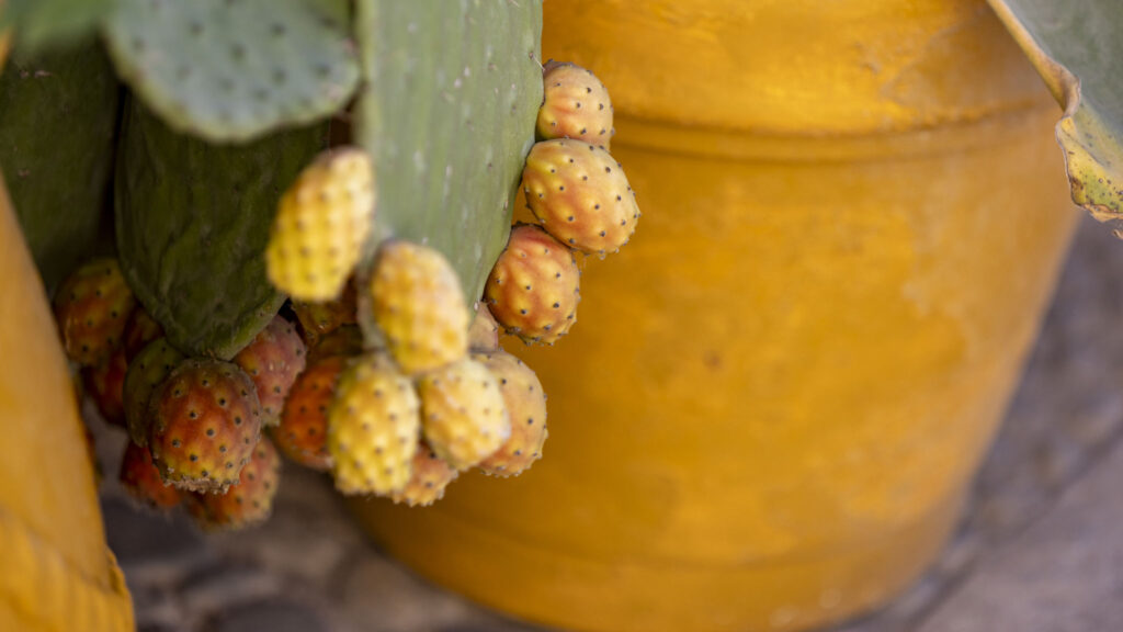 38_sicily-sun-con-accesso-alla-spiaggia