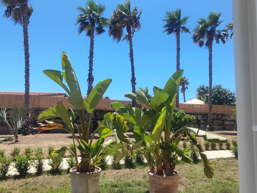 Immagine_WhatsApp_2025_08_12_ore_18.28.23_982c9619