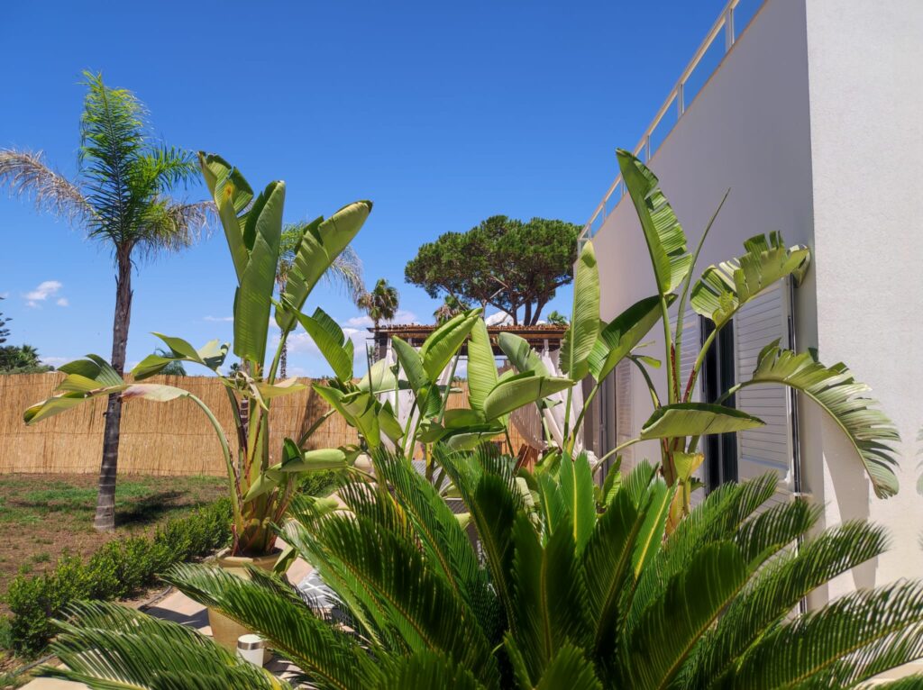 Immagine_WhatsApp_2025_08_12_ore_18.28.22_f7ed97c7